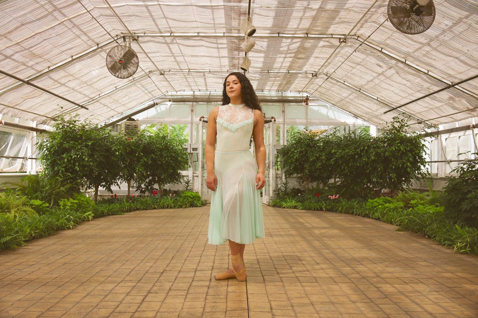 Dancer standing in the center of a sunlit greenhouse
